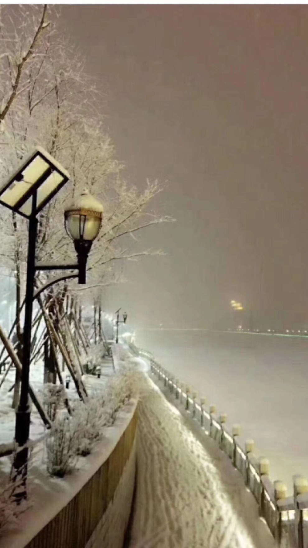 【如约而至的一场大雪!小白受了伤!求版主心疼