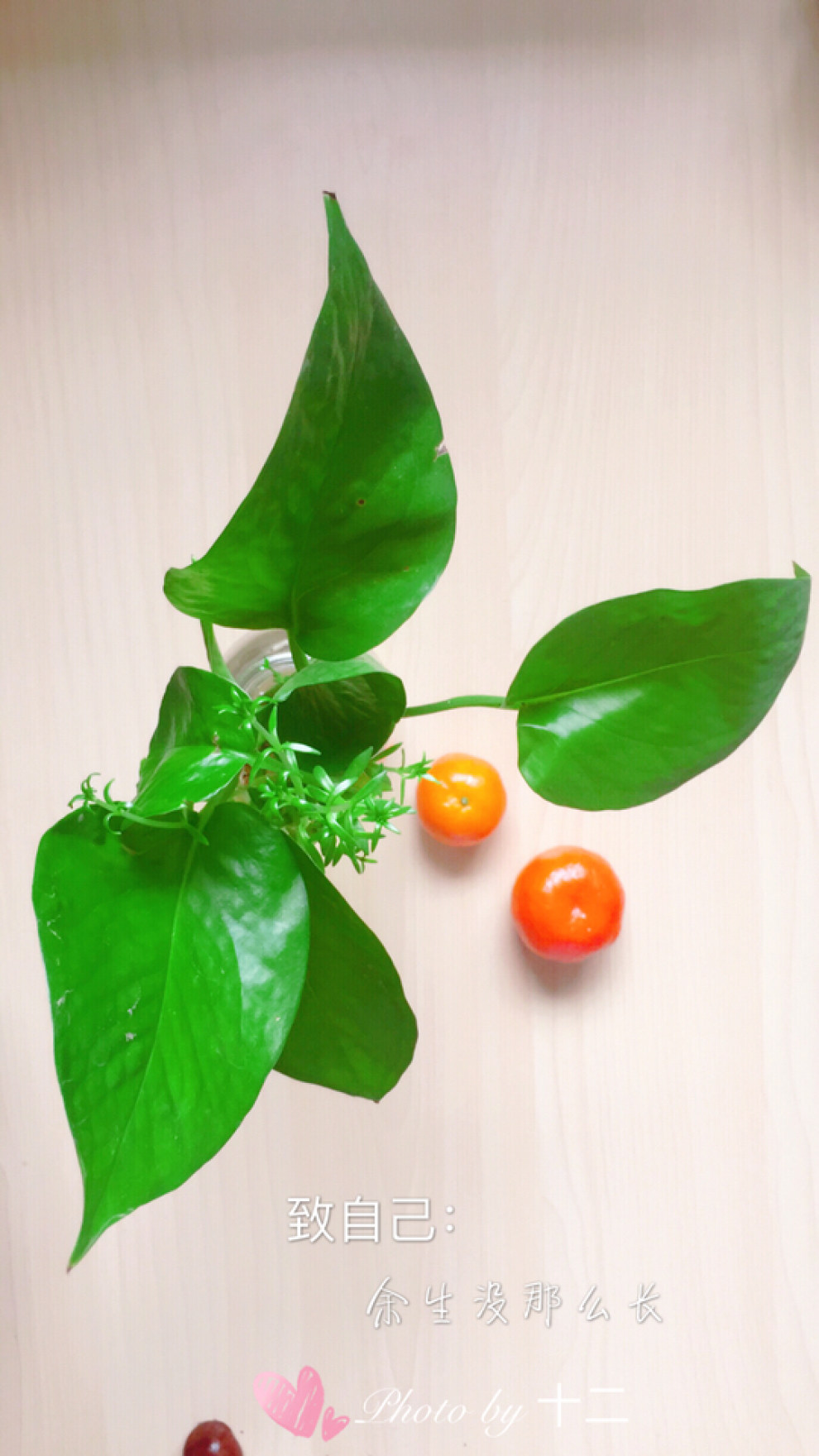 【如若初见】_美食之旅社区图片集锦