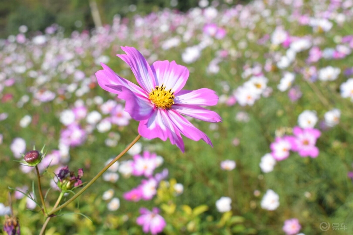 想带你去看晴空万里
