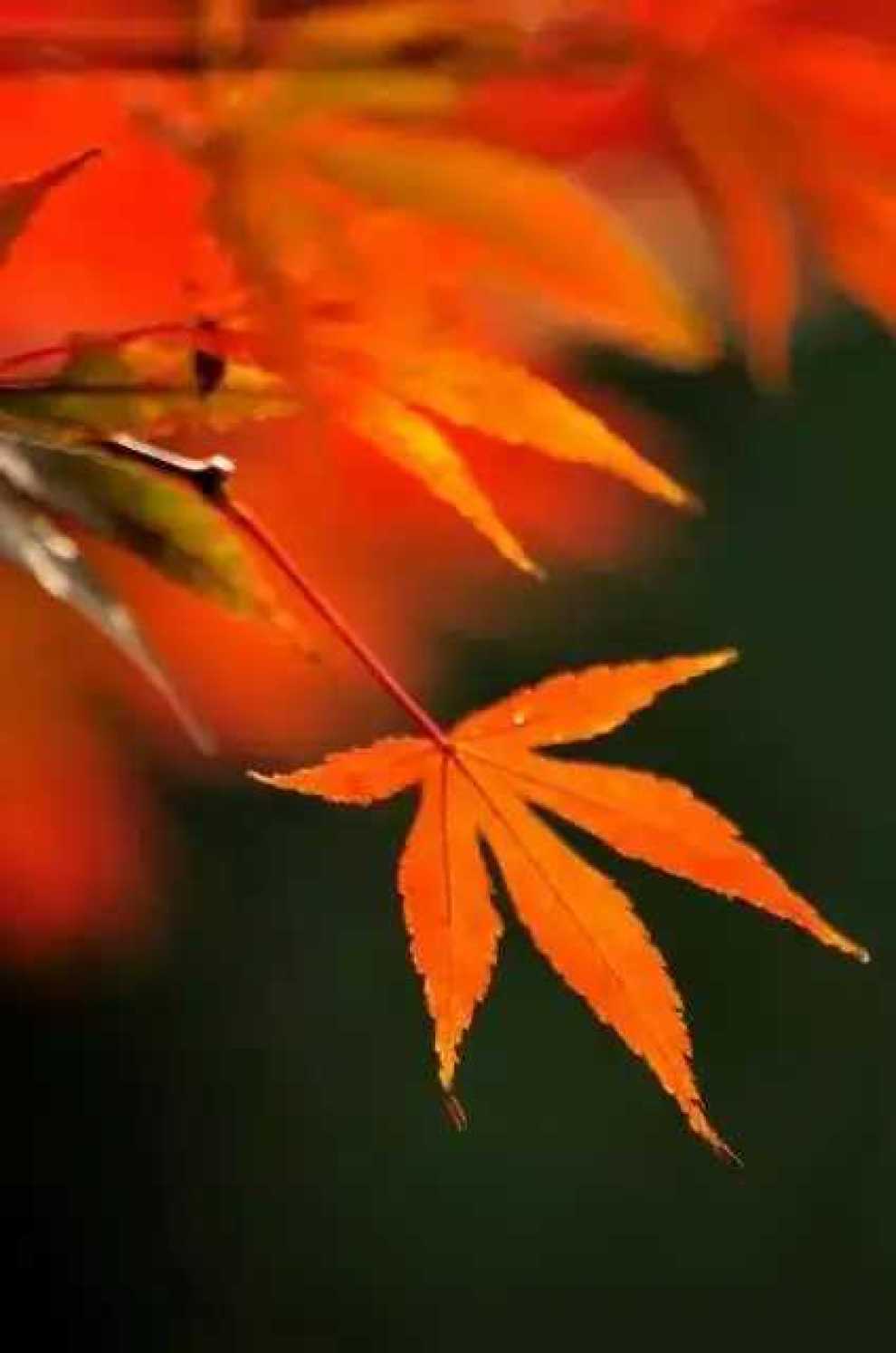 人到中年,一悟一懂得!