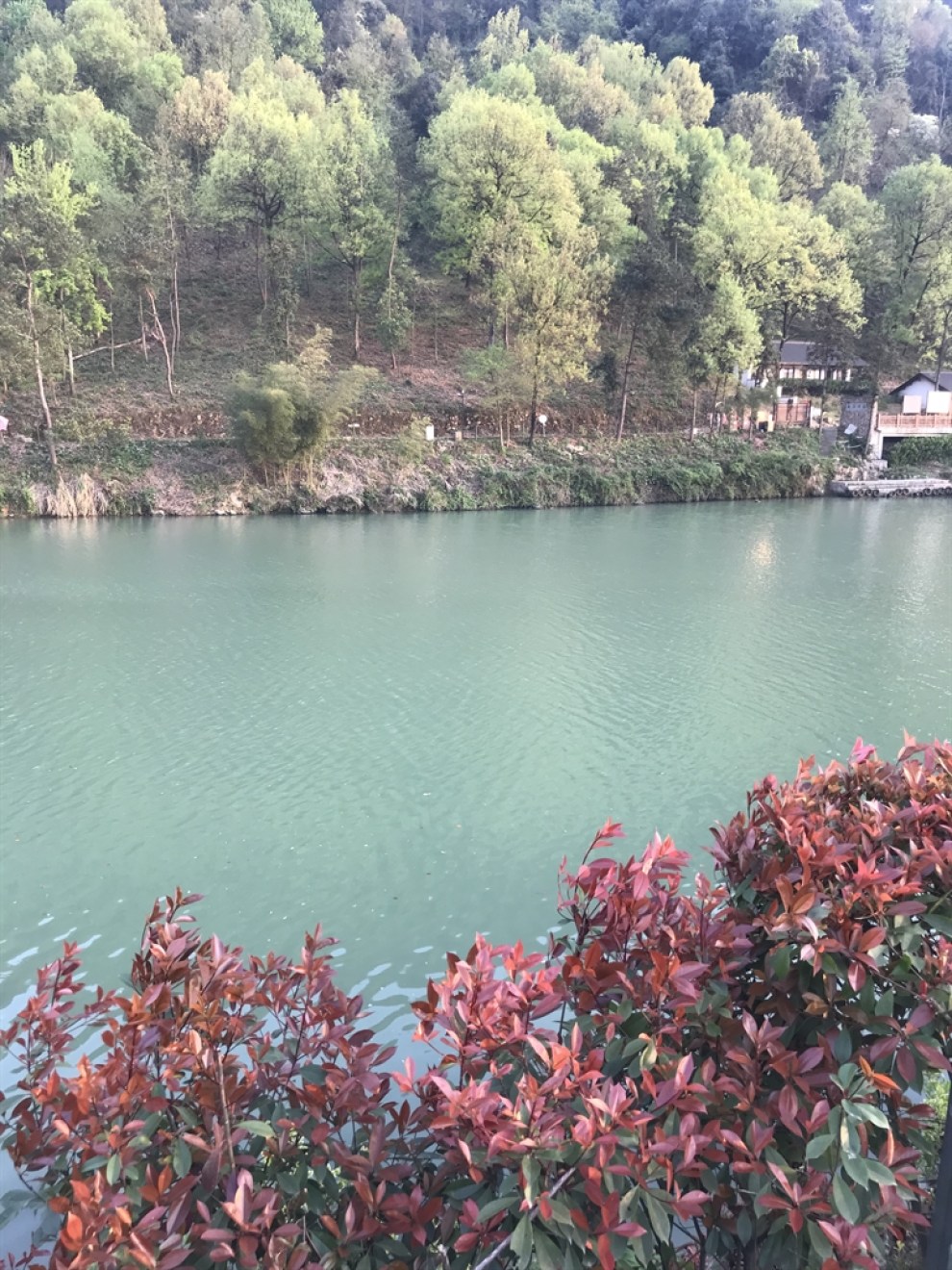 赏长桥青山绿水 过世外桃源新生活