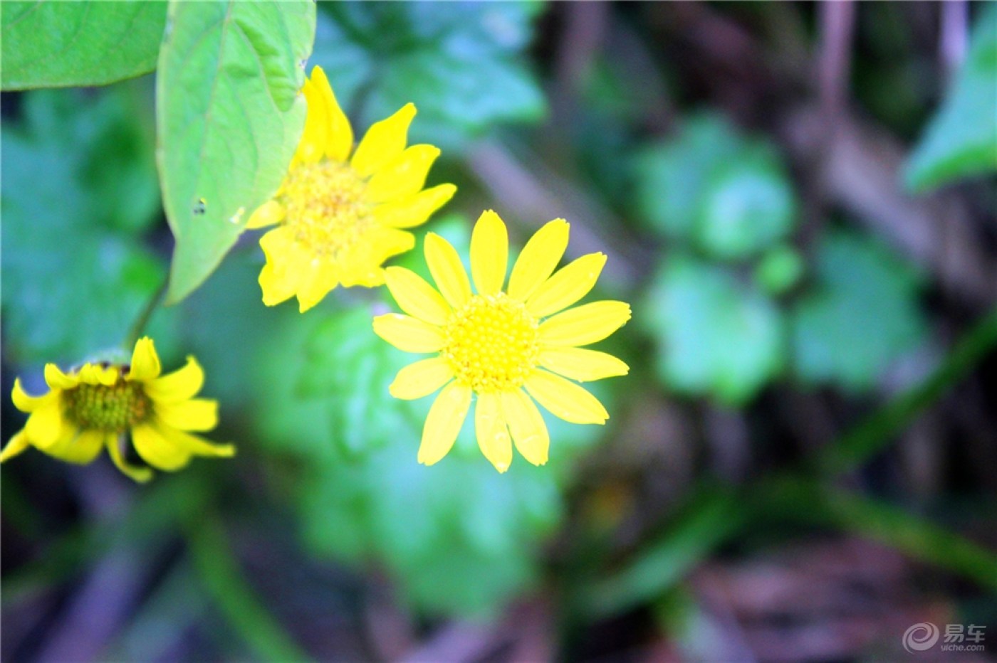 再不疯狂我们都老了,重新出发,徒步征服武功山