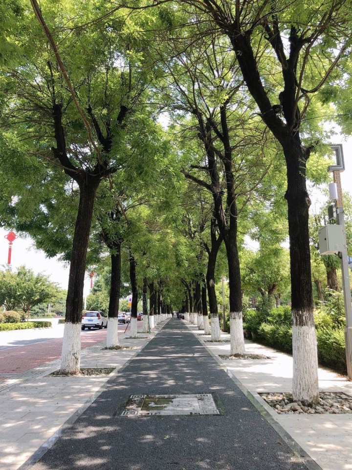 江汉什么什么成语_江汉大学