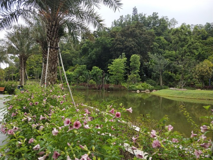 植物园半日游