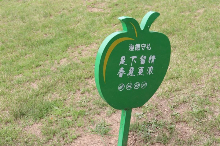 心之向往,才是人生归处