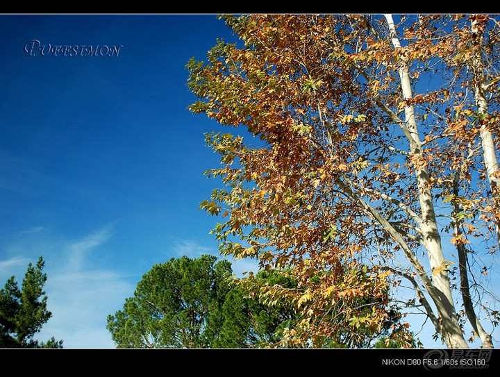 【沐浴南加州的阳光---SAN BERNADINO(圣伯