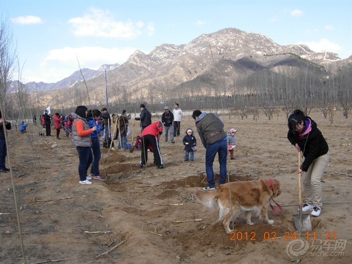 【3月24日植树活动报道!O(∩_∩)O】_凯越论