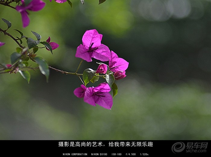 20120428_df47c85b-a623-40ba-bbb6-8f6291248ac4_700_0_max_jpg.jpg