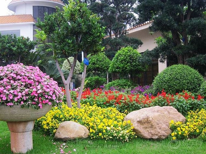 【草暖公园随拍】_广东论坛图片集锦