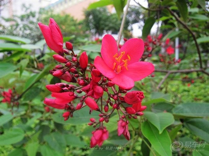 【草暖公园随拍】_广东论坛图片集锦