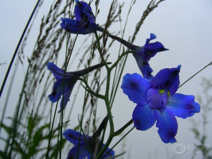 【7月20号3加1重上海坨扎营。】_冲浪手户外