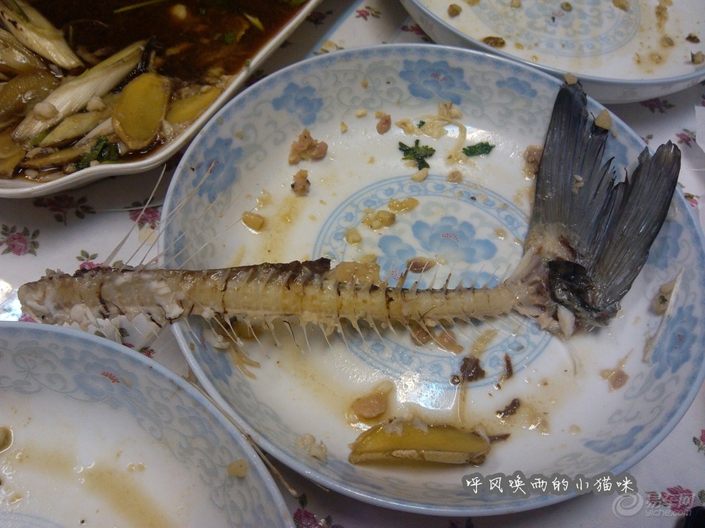 【【今天晚上吃什么】小猫独家报道:低碳美食