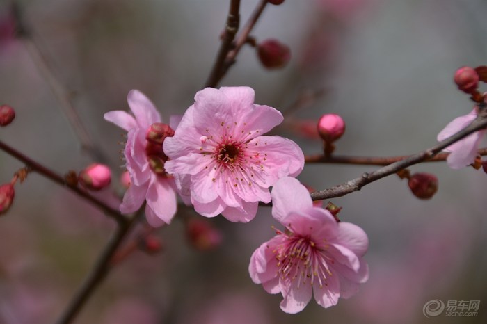 【【晒养车体验】上海车易安洗车真方便,网上