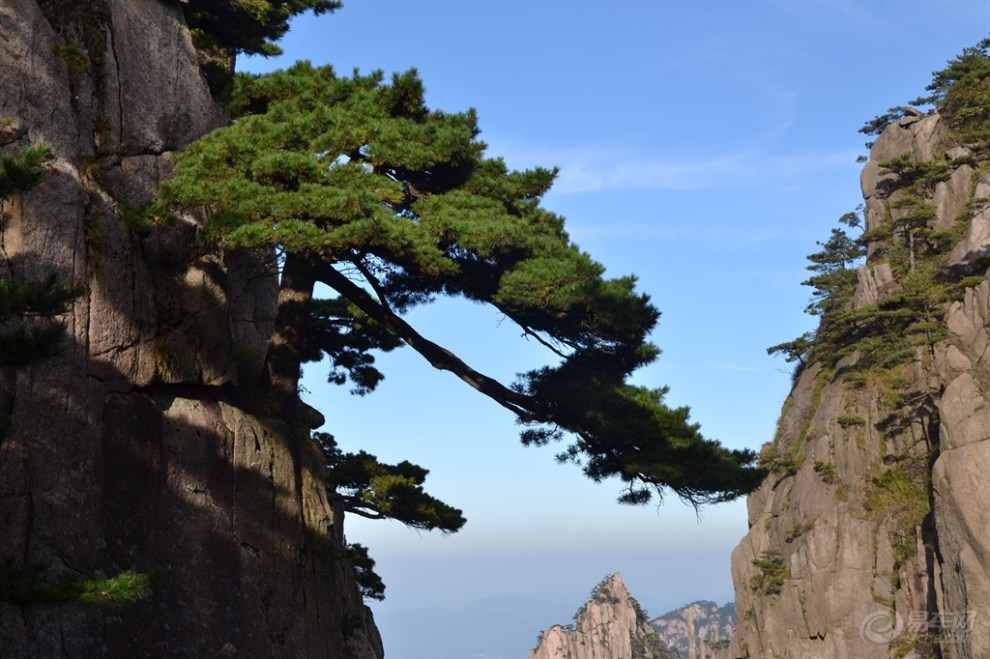 秀美黃山行