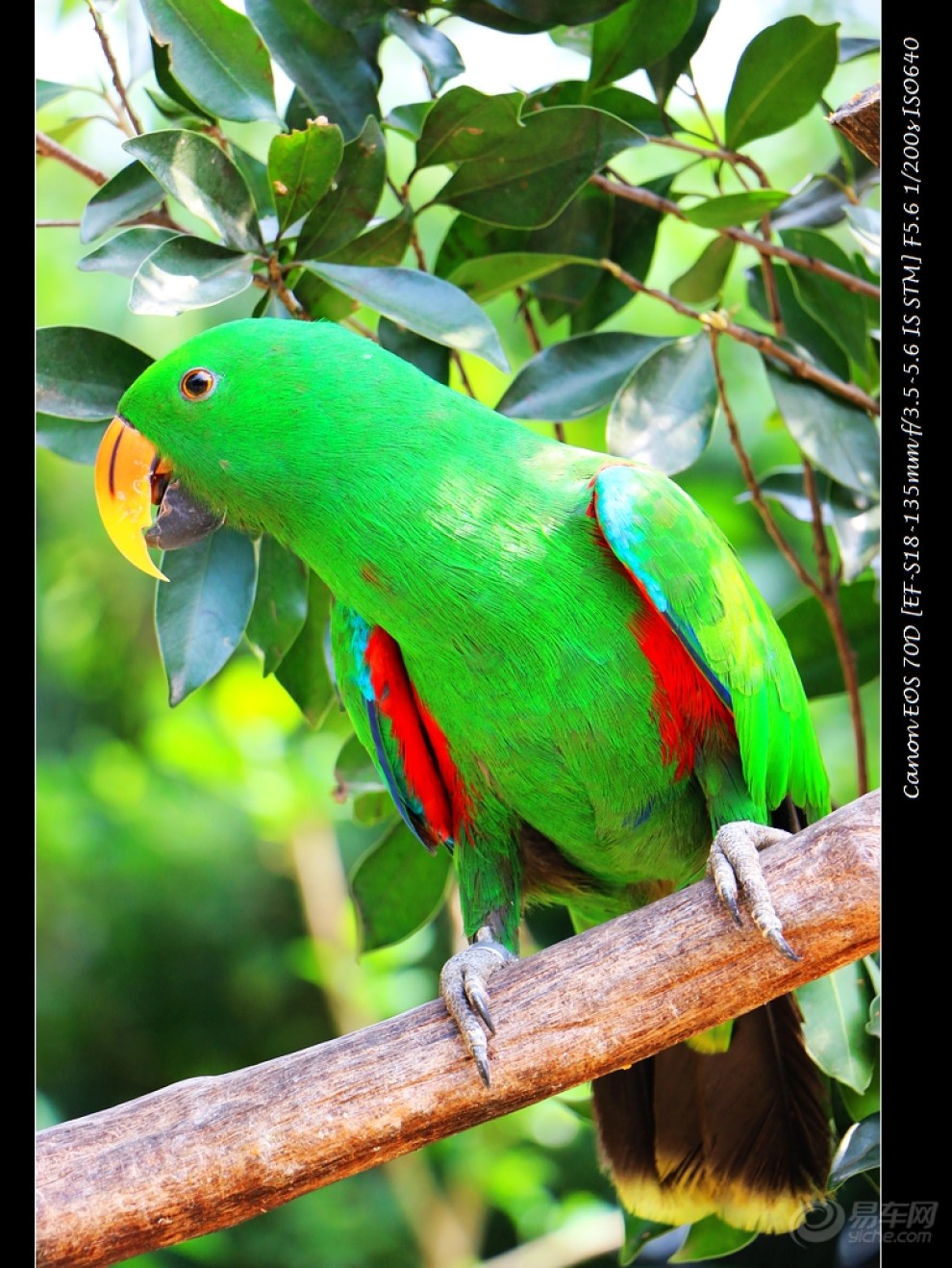 70d小试---俊逸系列