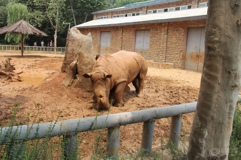 【家裡來親戚,鄭州兩日遊:中原福塔,河南博物院,鄭州市動物園】_途安