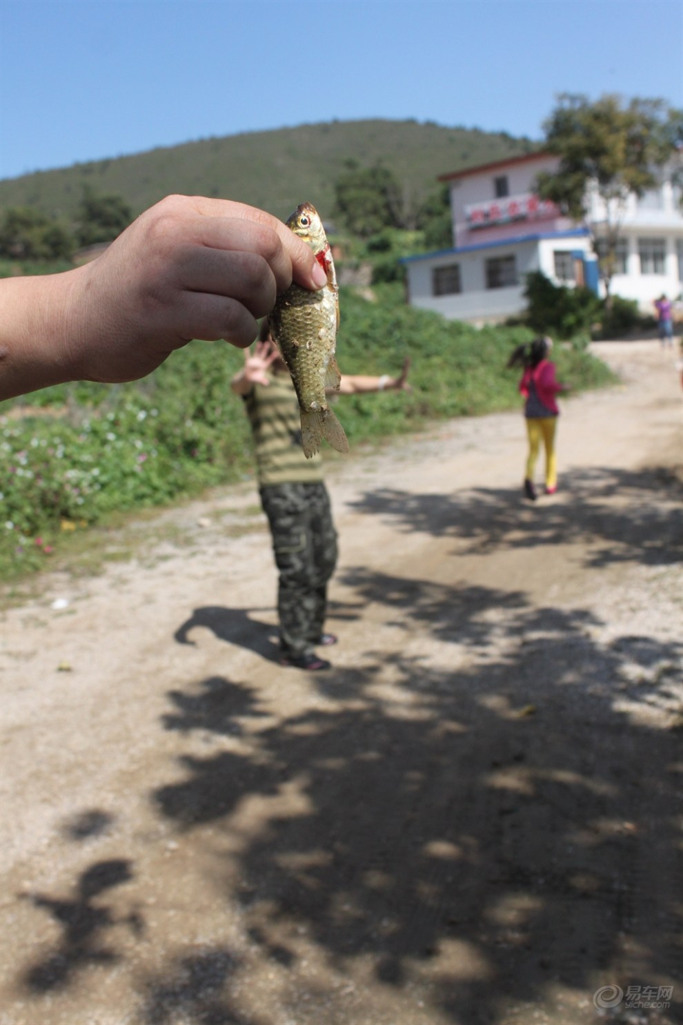 8】邱庄水库烧烤,钓鱼,采摘一日游