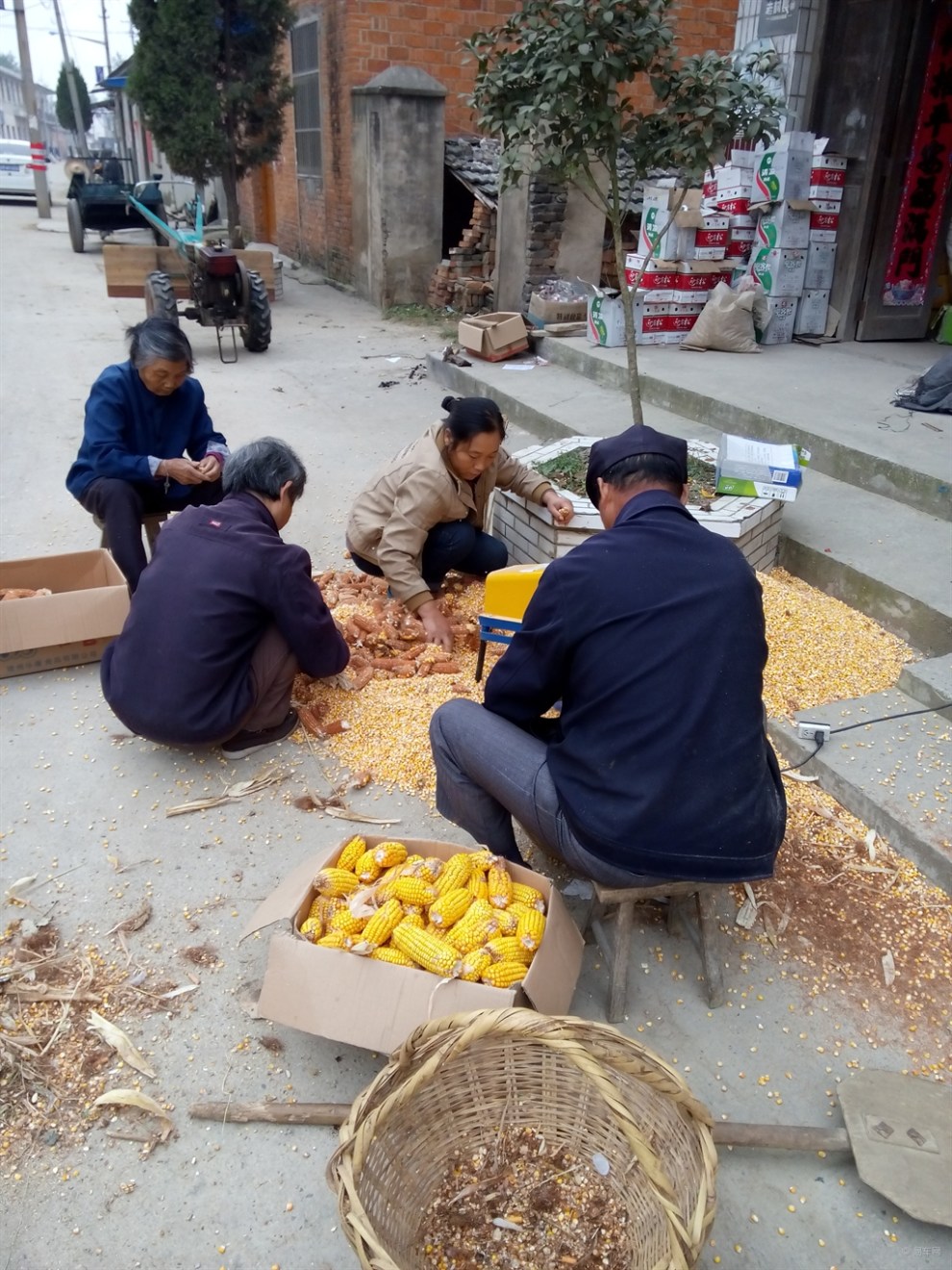 图片
