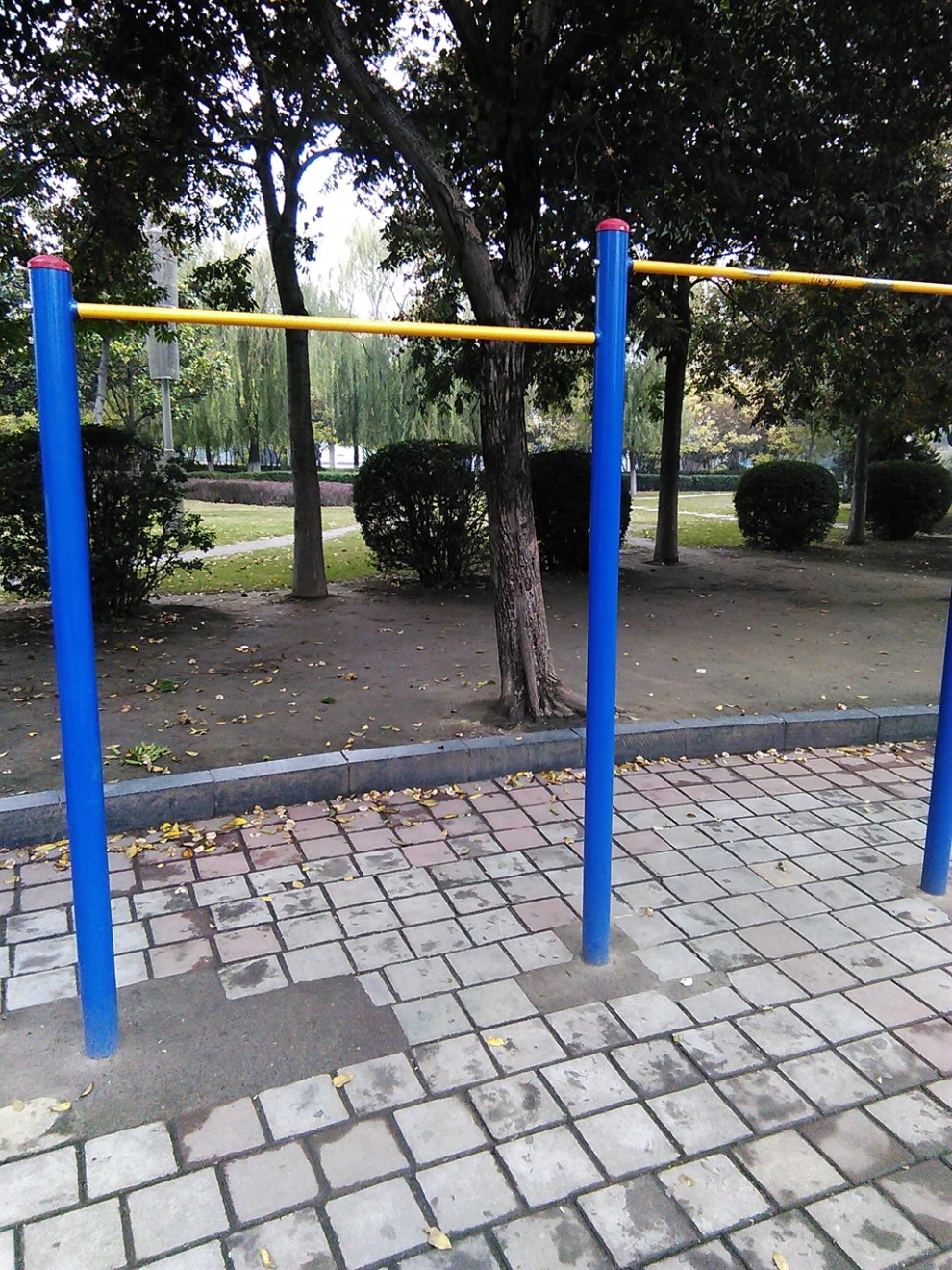 【神韵原创】鹰城广场里的健身器材