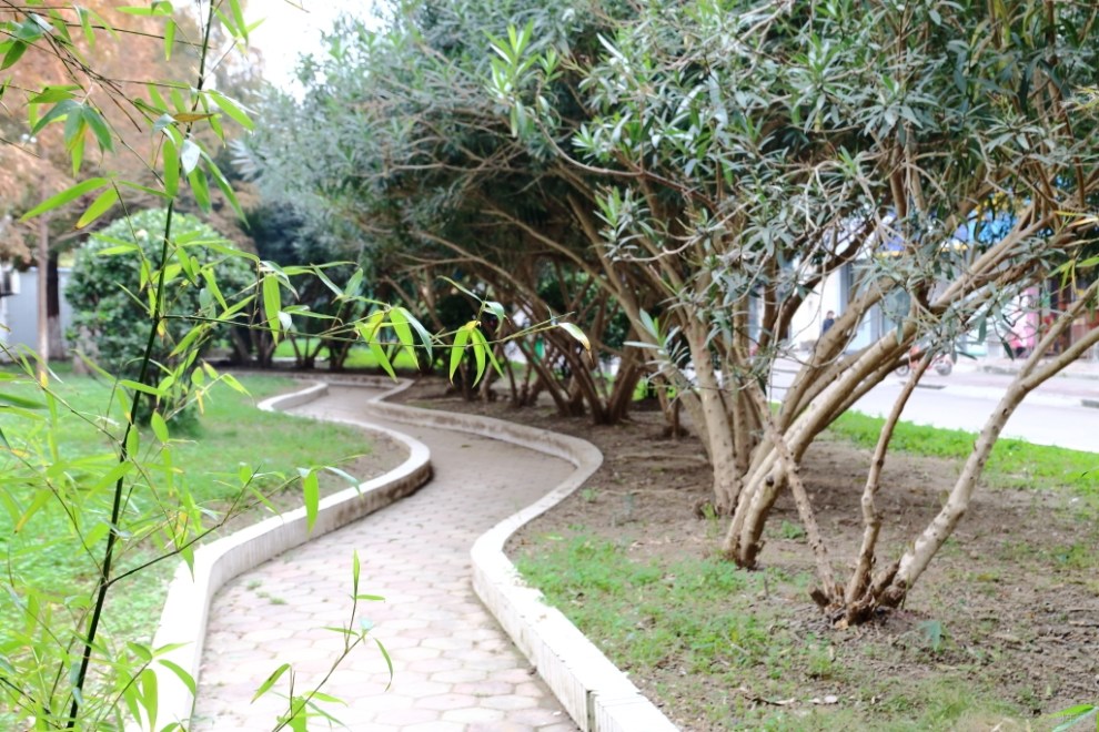 【盐城地区青铜联盟】家乡的街心公园