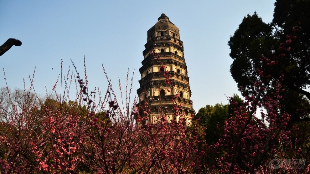 一塔擎天--游虎丘观虎丘塔