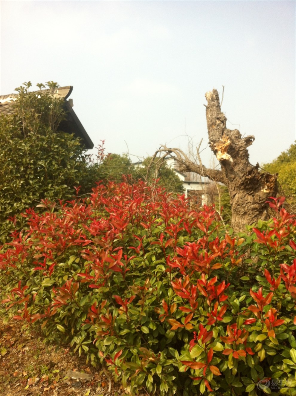 【首发申精】上海申亚乡村度假农园 饭店环境