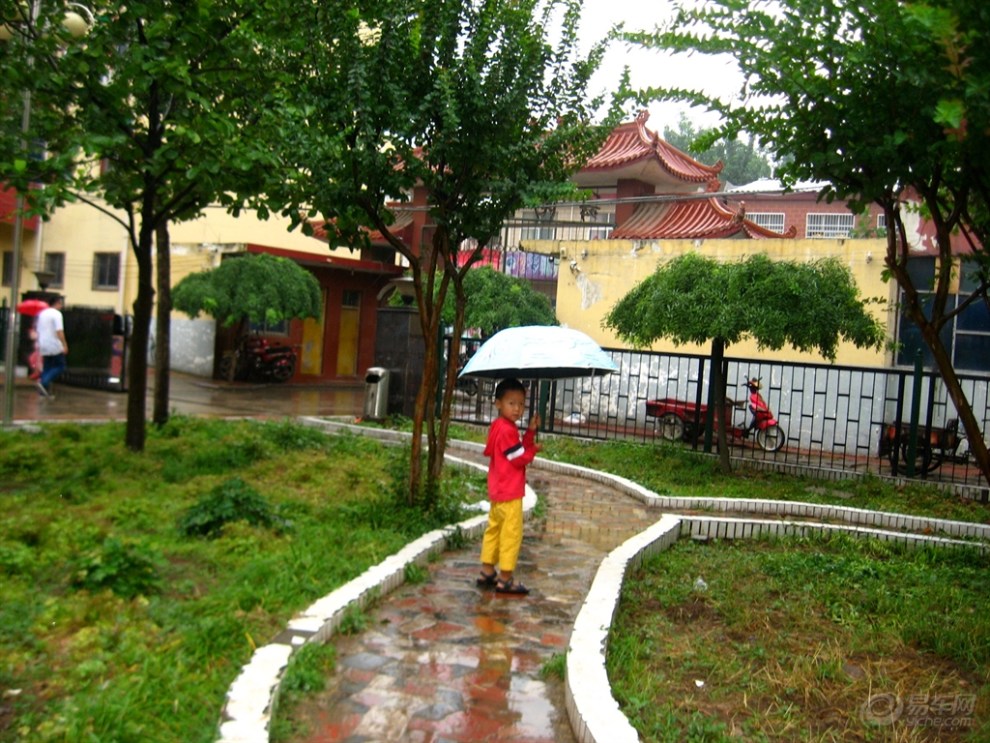 【宝贝快乐秀】140625 雨中"行行"(摄影)