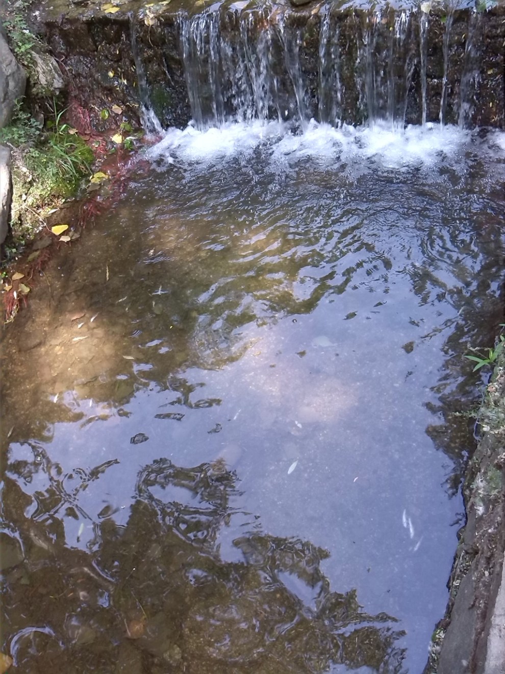 【仲夏江南】遊山玩水