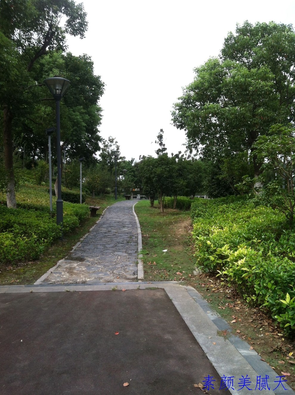 【苏州】 角落里的小公园 .