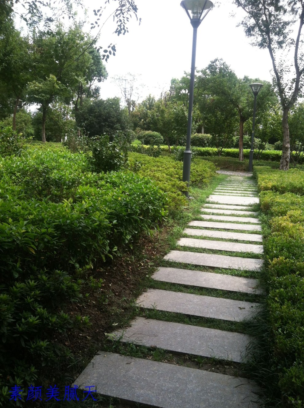 【苏州】 角落里的小公园 .