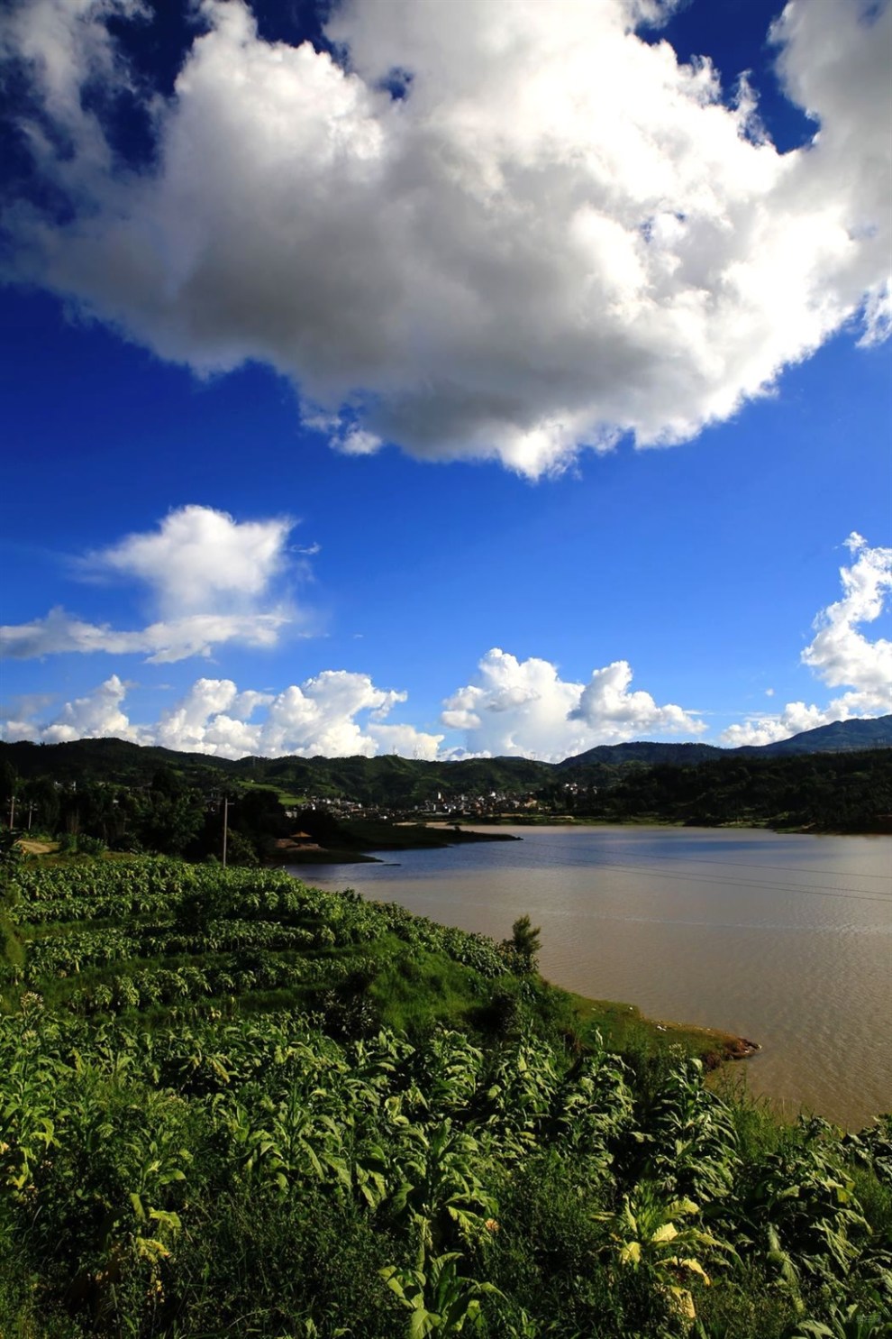 【上首页】 老疯人---环湖行摄