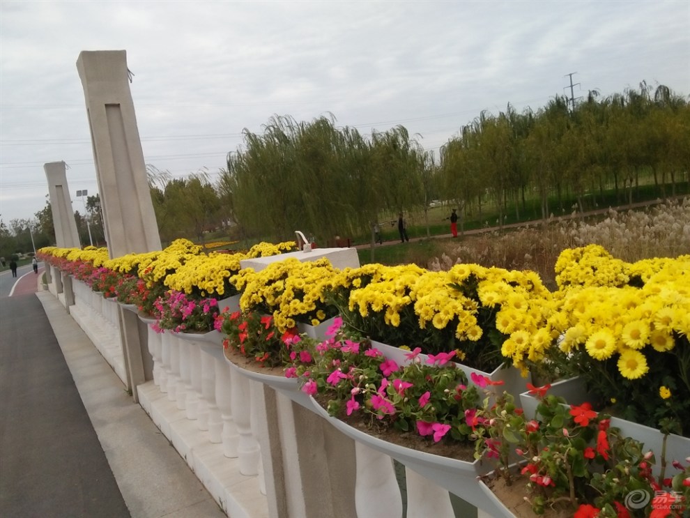 【原創首發】遊東營植物園