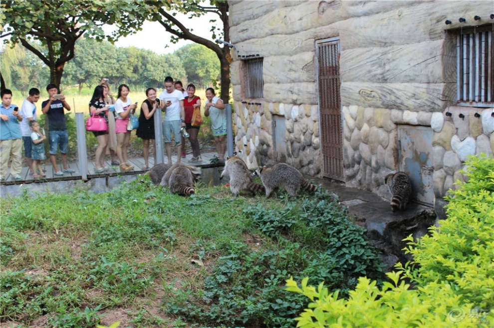 【國慶小長假精品遊記】走進東莞香市動物園