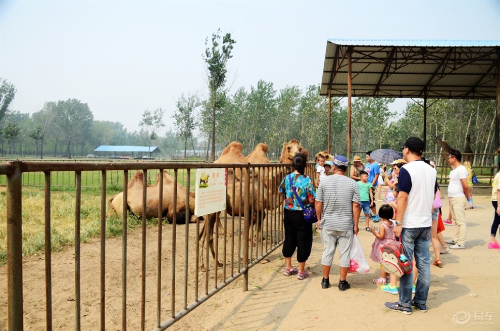 秦皇岛野生动物园自驾游记