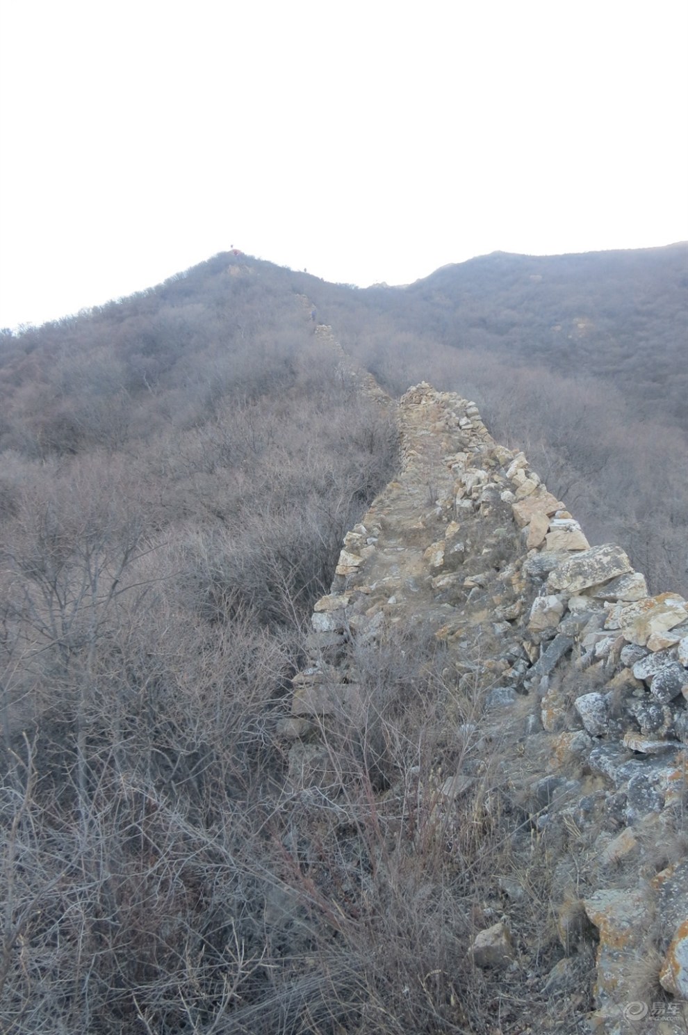 我的《爬长城喽》的帖子哪?