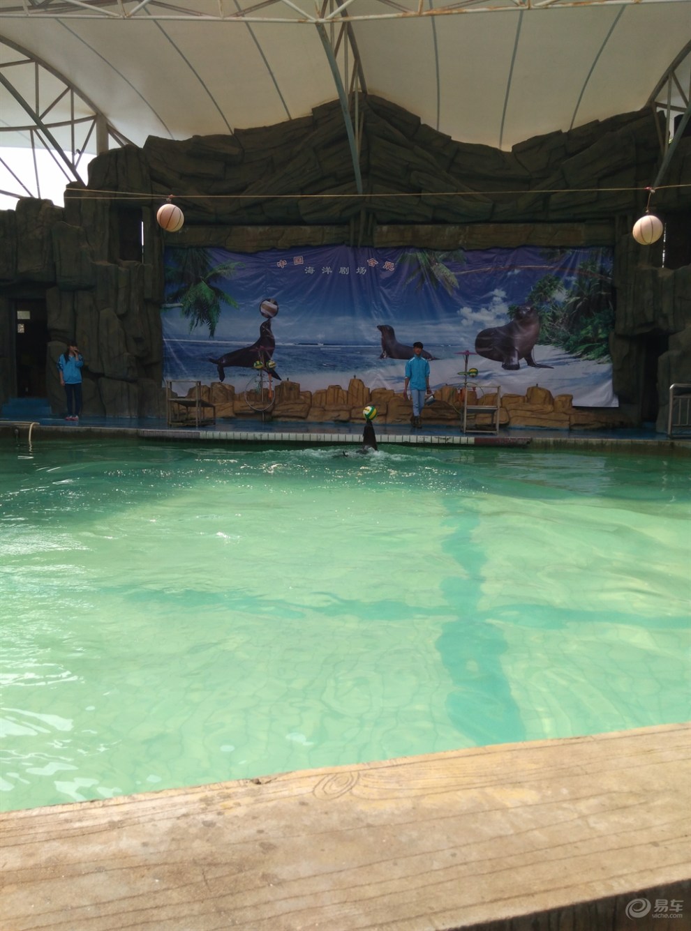 带儿子和学生游大蜀山动物园