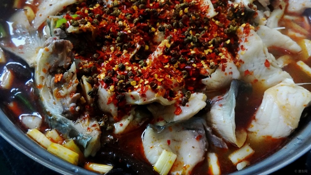 【食尚玩家】麻辣水煮大甲鲤鱼( 星期日)