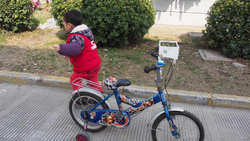 【超宝动起来】父子老爷车