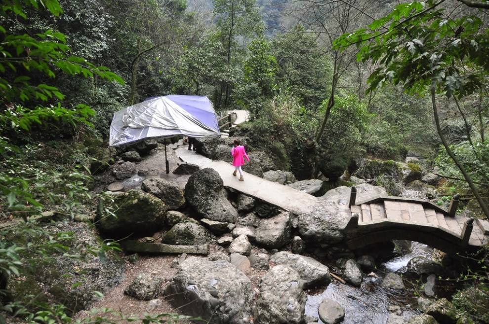 自駕遊青城山後山