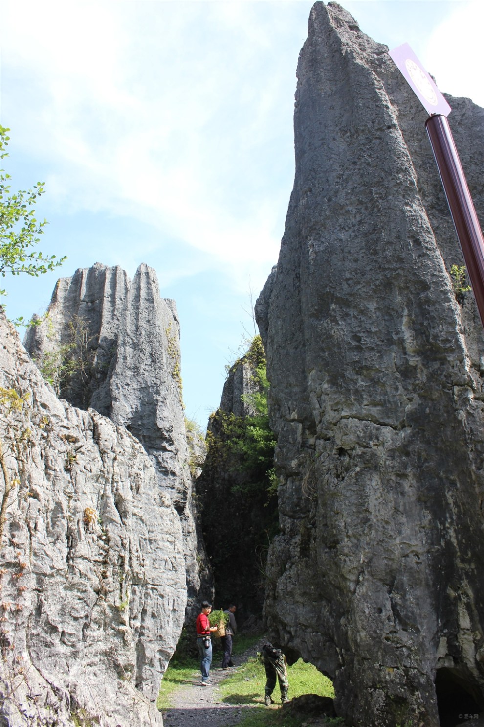 春游洛塔石林