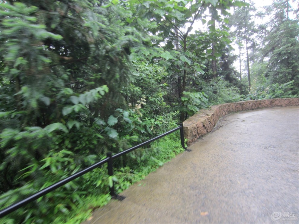 带你欣赏裸心谷的路边风景
