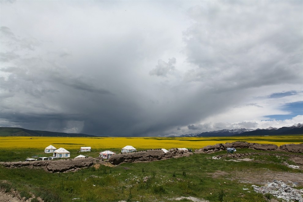 青海门源浩门农场