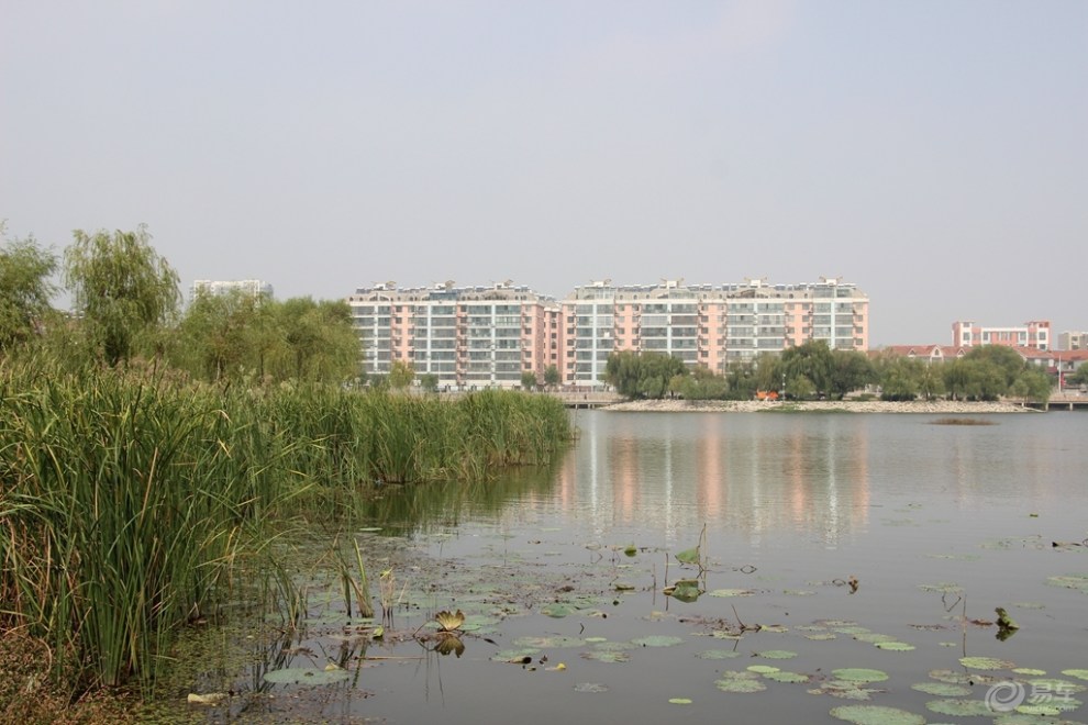 【原創首發】唐王湖公園