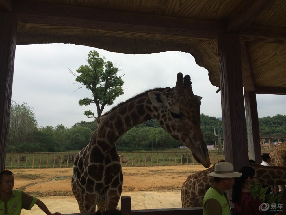 國慶長假遊——杭州野生動物世界