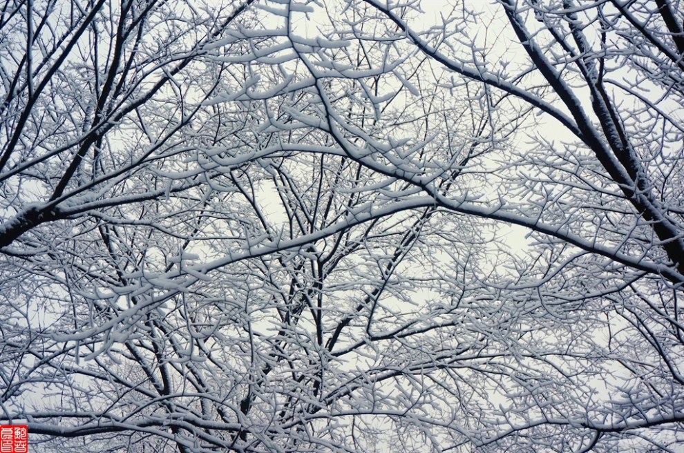 【严冬你我他】小城雪景