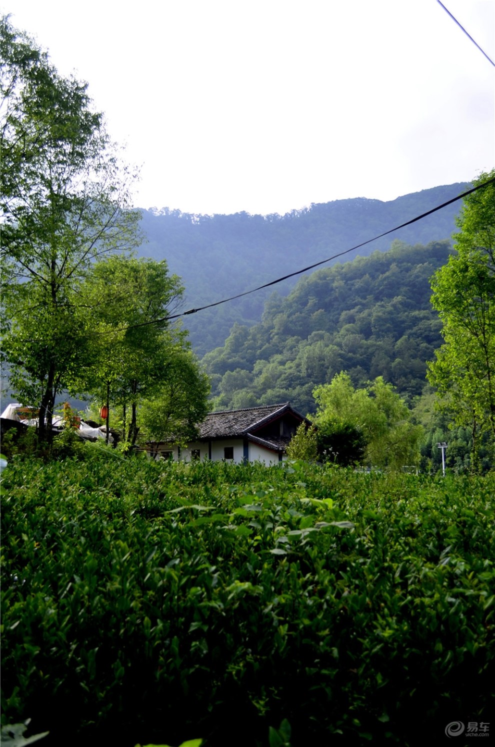 陇上江南天然氧吧—阳坝