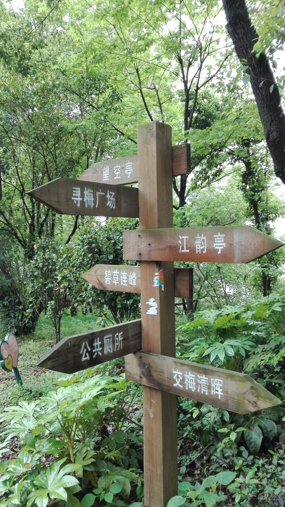 【我最爱车】【鹰潭贵溪游】—梅园公园,阴雨天的漫步