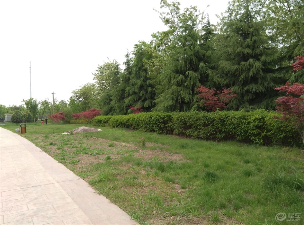 咸阳 大美河堤路,赏花赏景回西安