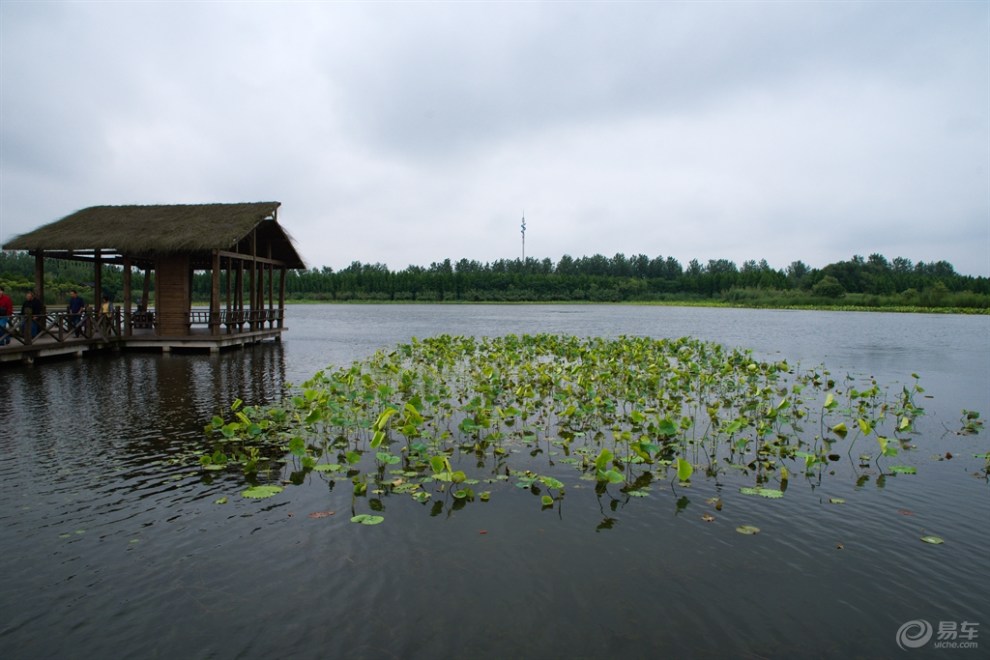 【易大獎,吉六月】和博仕班車友自駕遊溱湖溼地公園