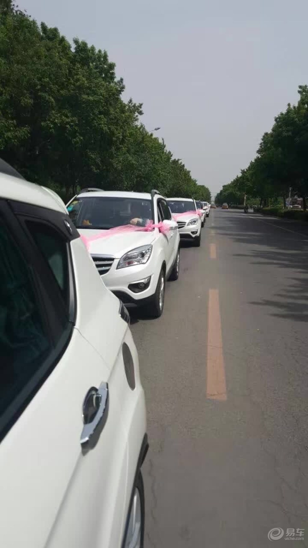 【哈尔滨市冰城cs35车友会为车友婚礼出车】_长安cs35